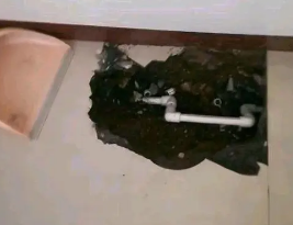 酉阳卫生间测漏水多少钱